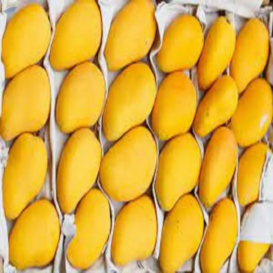 Fresh Mango