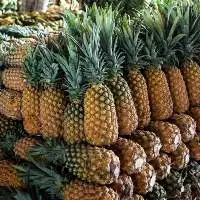 Fresh Sweet Pineapples