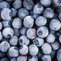 Frozen Blueberry With High Quality