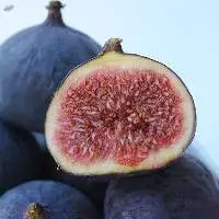 Premium Fresh Fig Rich In Natural
