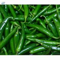 Wholesale Fresh Green Chillies