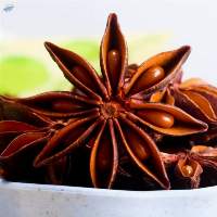 High Quality Dried Star Anise