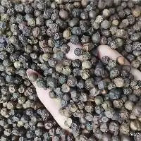 High Quality and Cheap Prices Black Pepper