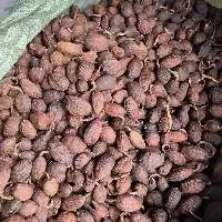 100% Organic Dry Black Cardamom