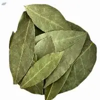 Wholesale dried bay leaves