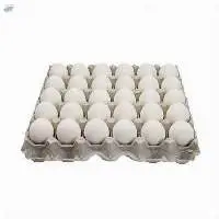 Best Quality Fresh White Table Chicken