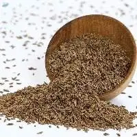 Bulk Caraway seeds for Export