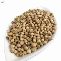 Top Grade Pure and Organic Coriander Seeds