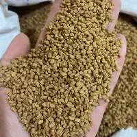 Wholesale High Quality Fenugreek Seeds