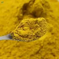Turmeric Powder Wholesale Spices