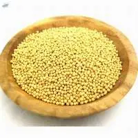 Yellow Mustard Seeds