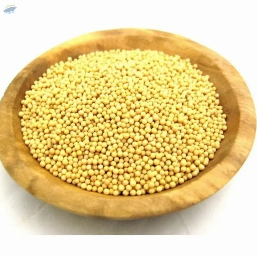 Yellow Mustard Seeds