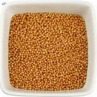 Wholesale Yellow Mustard Seeds