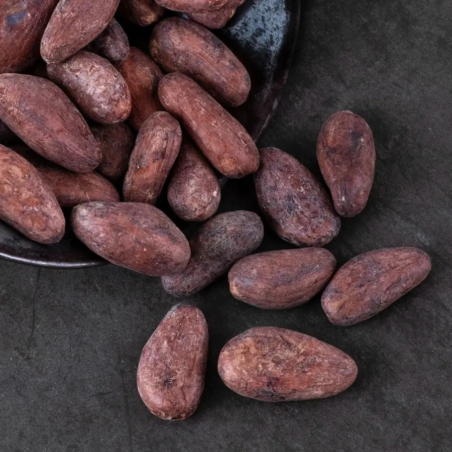 Organic Raw Cocoa Beans
