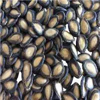 Watermelon Seeds for Human Consumption