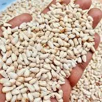Premium Quality Safflower Seeds for Oil
