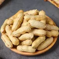 Wholesale Organic Roasted & Dried Peanuts