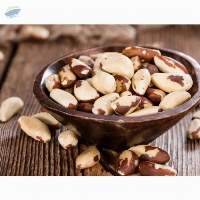 Top Quality Brazil Nuts