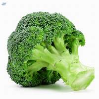 Frozen Green Vegetables Broccoli