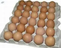 Chicken Eating Table Eggs