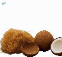 Coconut & Derivatives