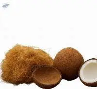 Coconut & Derivatives