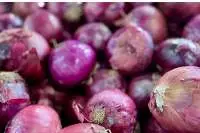 Fresh Onion