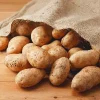 Potato