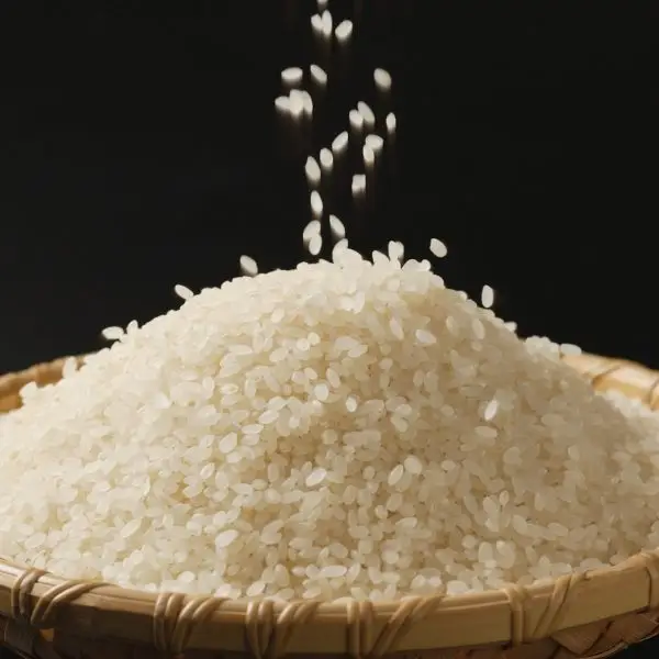 Non-Basmati Rice