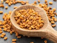 Fenugreek Seed