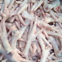 High Quality Frozen Chicken Feet  
