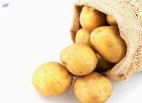 Premium Fresh Potatoes Bulk Supply