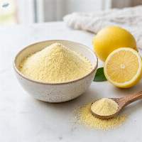 Dehydrated Lemon Powder