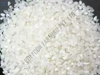 White Broken Non Basmati Rice