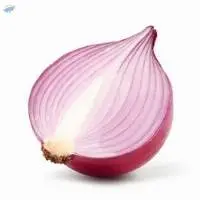 Onion