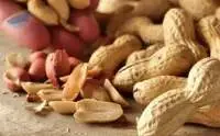 Groundnut