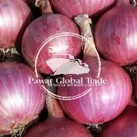 Fresh Red Onion