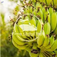 Green Banana
