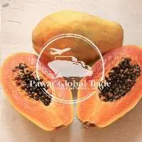 Papaya