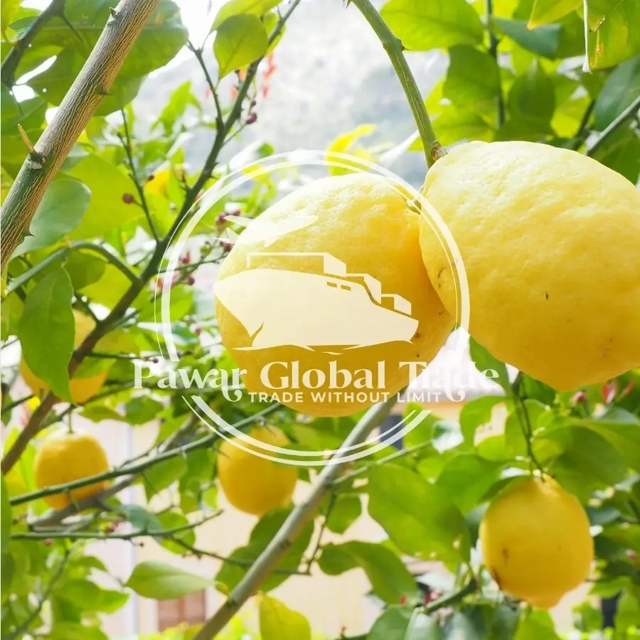 Lemon