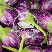 Fresh Brinjal