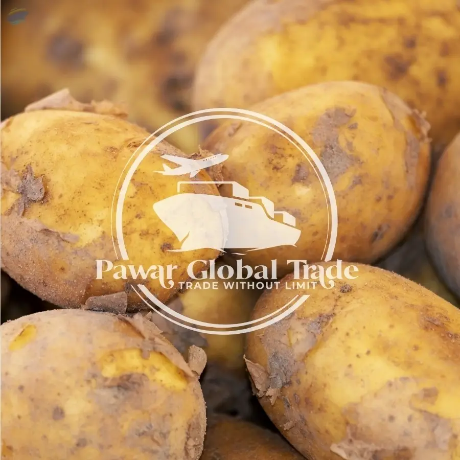 Potato