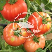 Tomato