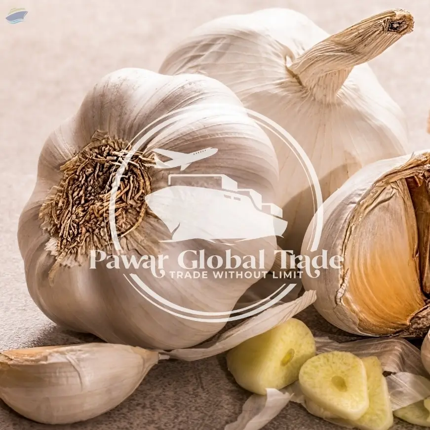 Garlic