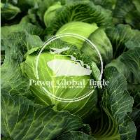 Cabbage