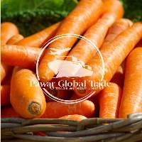 Carrot
