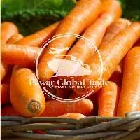 Carrot