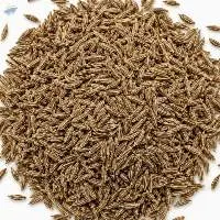 Premium Natural Cumin Seeds Export Grade