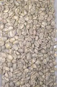 Arabica coffee - Mild wash