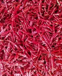 Red Chilly